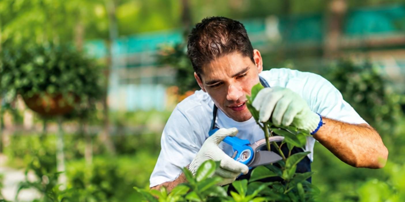 Jardinier utilisant un sécateur ergonomique pour tailler des plantes.